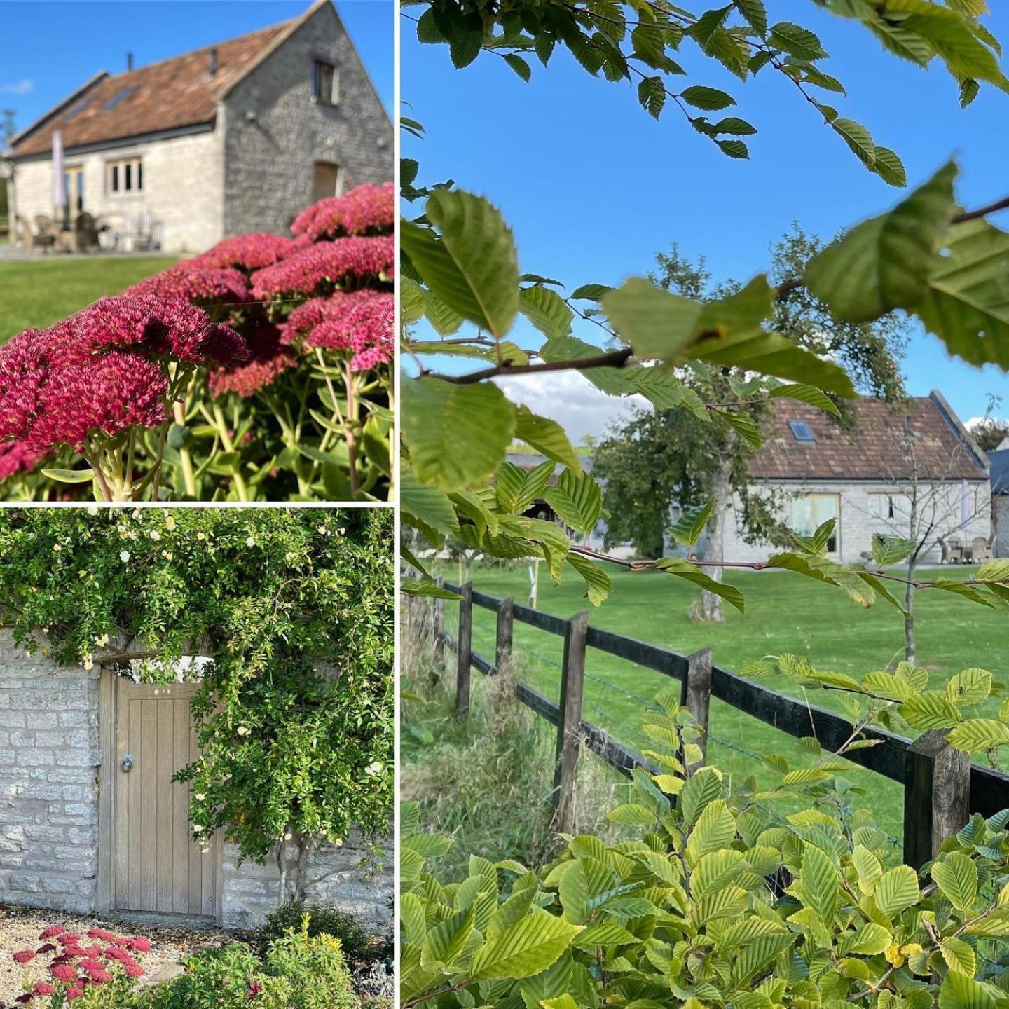 Yew Tree Cottage Shepton Mallet Eksteriør billede